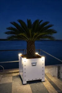 Beleuchtete Mietpalme Cycas revoluta im Designkübel bei Nacht – Palmenvermietung für Events und Außenbereiche